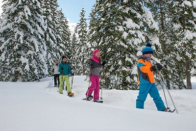 Vakantieappartement Gezinsvakantie Damüls