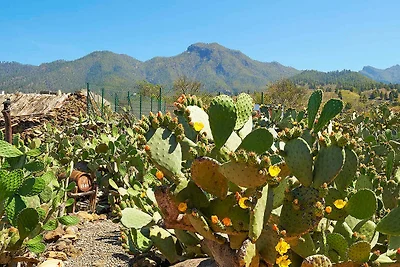 Casita las Piedras