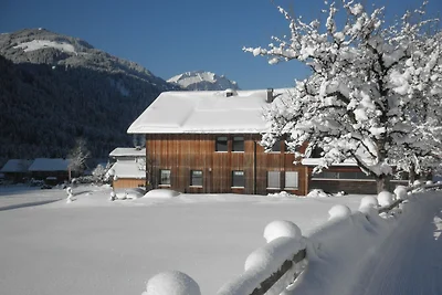 Vakantieappartement Gezinsvakantie Schoppernau