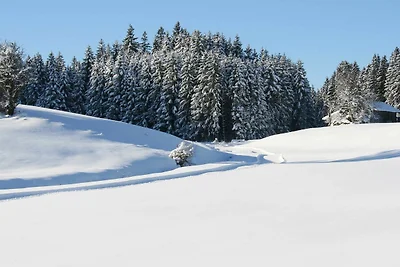 Wiesenblick