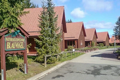 HAS-13 - Helles Holz-Ferienhaus mit Terrasse...