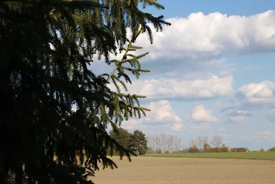 Appartamento Vacanza con famiglia Dreiheide