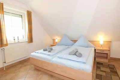 Albergo Cultura ed escursioni Butjadingen
