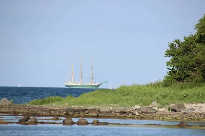 Vakantiehuis Ontspannende vakantie Quern