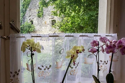 Vakantieappartement Gezinsvakantie Hollfeld
