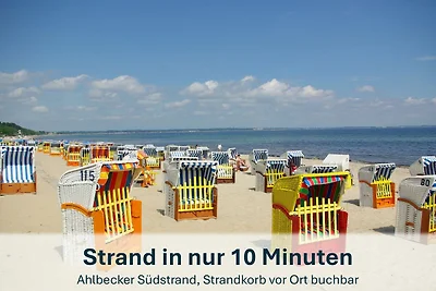 Albergo Cultura ed escursioni Korswandt