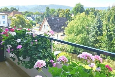 Appartamento Vacanza con famiglia Bad Harzburg