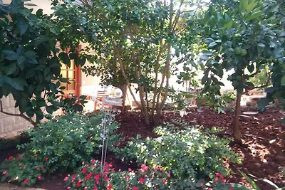 Vakantieappartement Gezinsvakantie Banjole