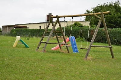 Grauer Esel E2