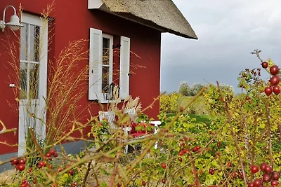 Casa vacanze Vacanza di relax Zierow