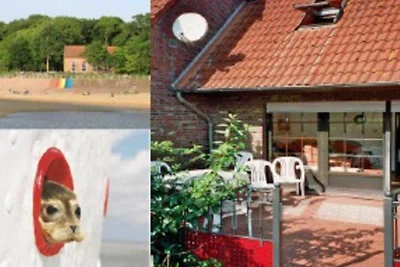 Vakantiehuis Ontspannende vakantie Varel