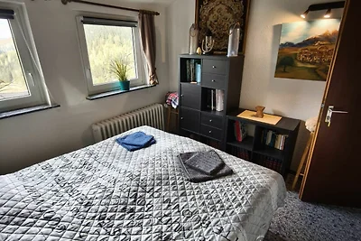 Vakantieappartement Gezinsvakantie Wildemann