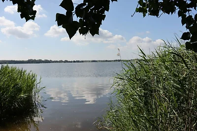 Ferienhaus Schlei-Wiese in Ulsnis mitten im N...