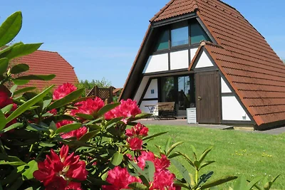 Ferienhaus 111 Winnetou 66qm bis 4 Personen m...