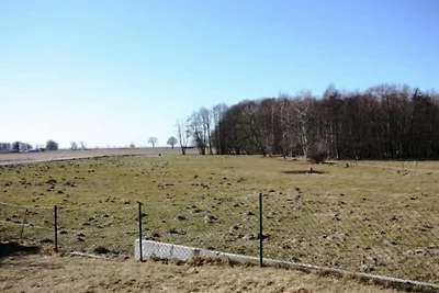 Vakantieappartement Gezinsvakantie Koserow