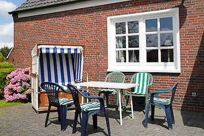 Ferienwohnung Robbe