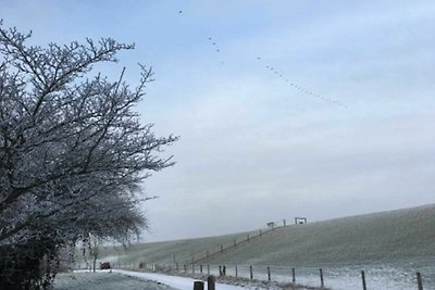 Ferienhaushälfte Fischerkate am Deich