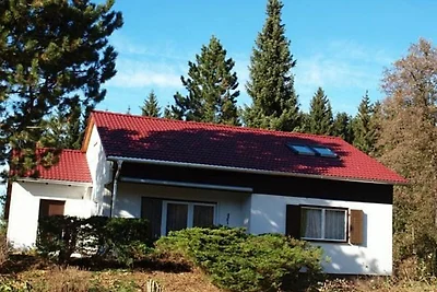 Ferienhaus mit grosser Terrasse und tollem Be...