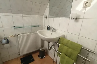 Kranichüberflug