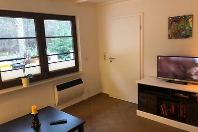 Ferienhaus Dünenwald 2-2 SZ bis max. 4 Pers.