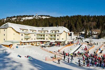 Vakantieappartement Gezinsvakantie Feldberg