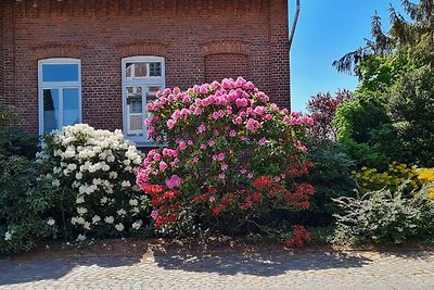 Ferienwohnung Annegret Schuback