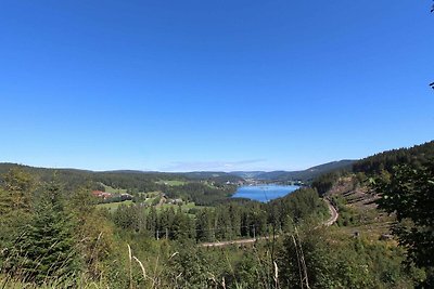 Vakantieappartement Gezinsvakantie Feldberg