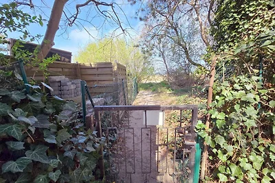 Ferienwohnung Oskar DH-42986