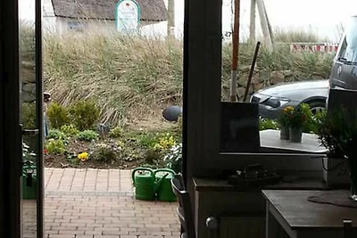 Ferienwohnung Austernfischer