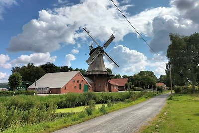 Ferienwohnung in Ostfriesland 60qm, max.