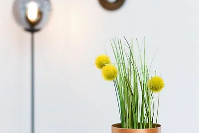 Holiday home relaxing holiday Carolinensiel