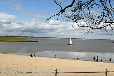 Ferienhaus Strandlilie