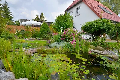 Stralsund - Fewo mit Terrasse