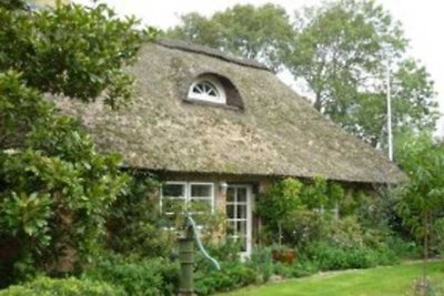 Little Rose Cottage