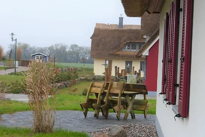 Vakantiehuis Ontspannende vakantie Zierow