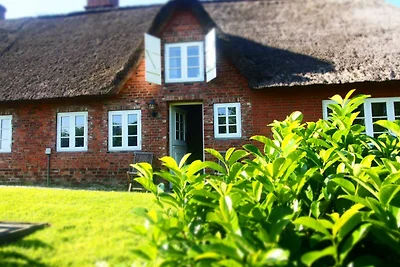 Vakantiehuis Ontspannende vakantie Ockholm