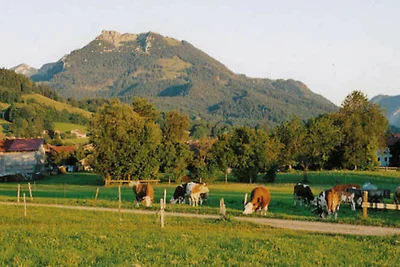 FW Dachgeschoss