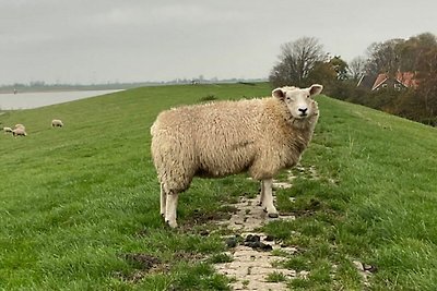 Ferienwohnung Zweite Heimat