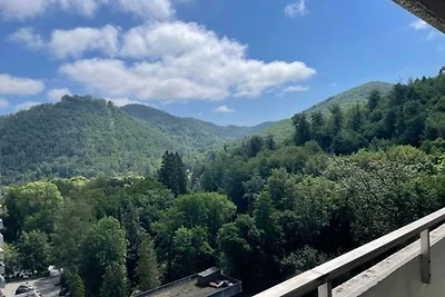 Vakantieappartement Gezinsvakantie Bad Harzburg