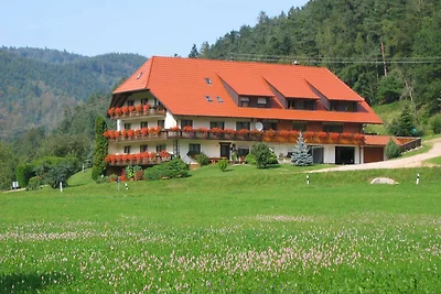 Holiday flat family holiday Elzach