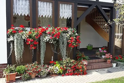 Ferienwohnung 2