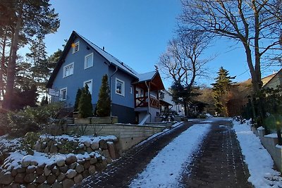 Fewo Kastanienblick, WLAN