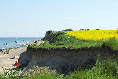 Vakantieappartement Gezinsvakantie Brodersby