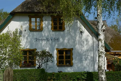 Vakantiehuis Ontspannende vakantie Middelhagen