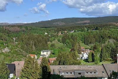 Hotel Cultuur en bezienswaardigheden Clausthal-Zellerfeld