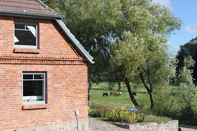 Ferienhaus Nele