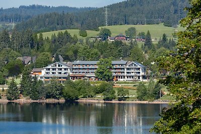 Albergo Cultura ed escursioni Titisee-Neustadt