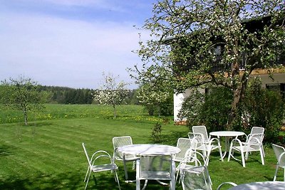 Albergo Cultura ed escursioni Erbach im Odenwald