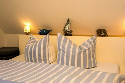 Hotel Cultuur en bezienswaardigheden Trassenheide