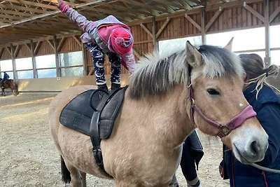 1) FeWo 2-Raum (50m², 2 Pers.